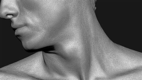 neck stl meaning|neck 3D Models for Free Download .